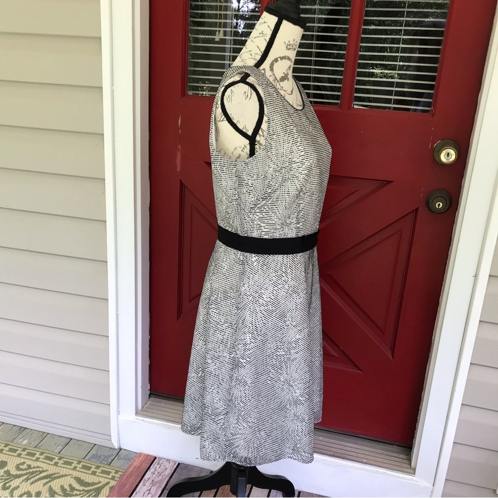 Antonio Melani Sleeveless Black White Lined Grosgrain Waist Shift Dress Size 8 - Picture 2 of 13